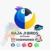 rajaji_birds