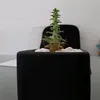sedangsantaiii