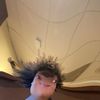 fettuccine_weenie