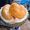 muhtarudin8147durian