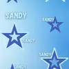 sandi3640