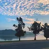 thanhthaonguyen64