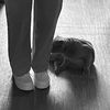 kitten.404