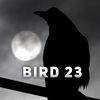emptybrdcage23