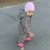 shabanakhaner