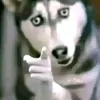 ehiz_.janis