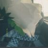 ghalia_a0