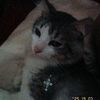sxluno