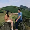 phmxunbnh7