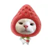 pnhunn_