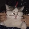 gatoalexx