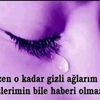 fidanozsoy