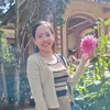 Liễu rì viu