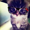 lenaa.4you