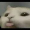 ssorayya_