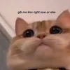 you.ruined.the.humour