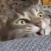 kaitlyn_weinert21