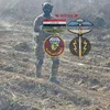 aliali60884