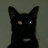 mingchauncey_