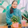 nhaquy95