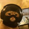 mix_od