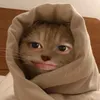 ngphucthinhhh