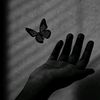 shanel.882