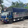 89trinh