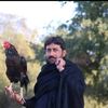 wariskhan5698