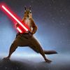 jedi_squirrel3