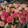 anne0325