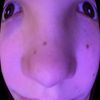 sofiashirleyandmidnight