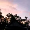 vdnjhisvdbkqa