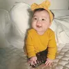 bo_cong_anh231292