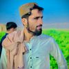 quettagull0
