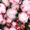 userky8f27knth