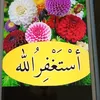nasreenfatah71