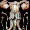 siberiia