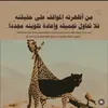 hanaeel8500