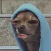 santi_valer0