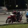 Parrr_15