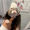 coco_sleeping_ferret