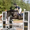eve_equines