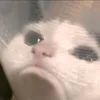 ._ynhiee_.o7