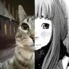 _kitsuki