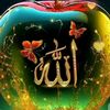 user4311746224629