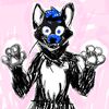 vox_wolf