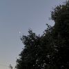leqaa_5
