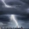 caominhhaiprophim