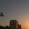 kubra4aa3